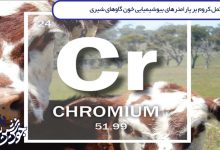 تصویر اثرات مکمل کروم بر پارامترهای بیوشیمیایی خون گاوهای شیری: یک رویکرد متا تحلیلی چند سطحی