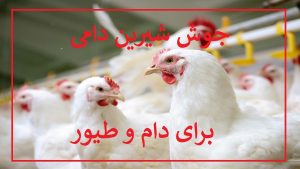 جوش شیرین دامی