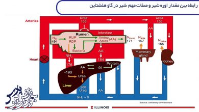 تصویر رابطه بین مقدار اوره شیر و صفات مهم شیر در گاو هلشتاین