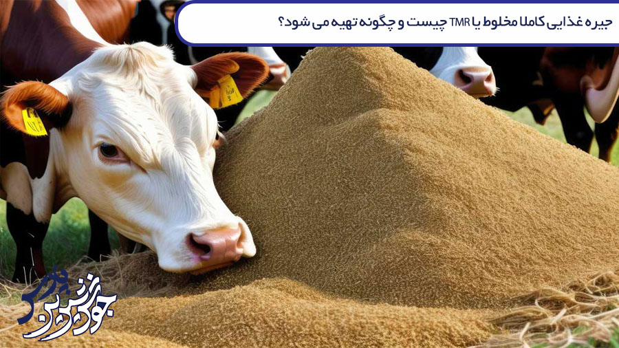 تصویر جیره غذایی کاملا مخلوط یا TMR چیست و چگونه تهیه می شود؟