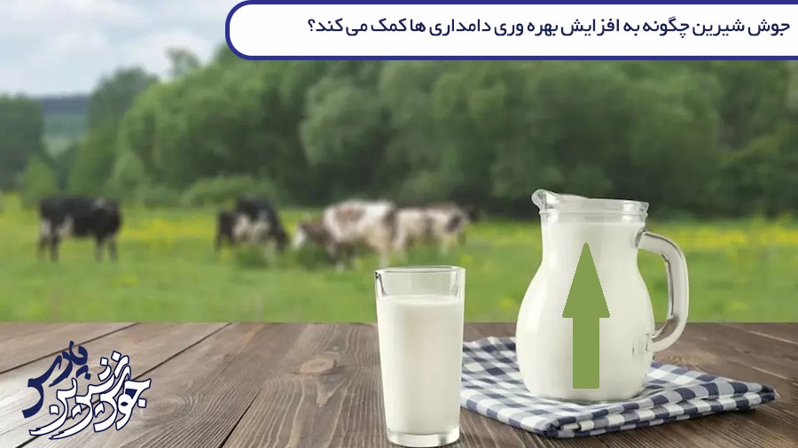 تصویر جوش شیرین چگونه به افزایش بهره وری دامداری ها کمک می کند؟