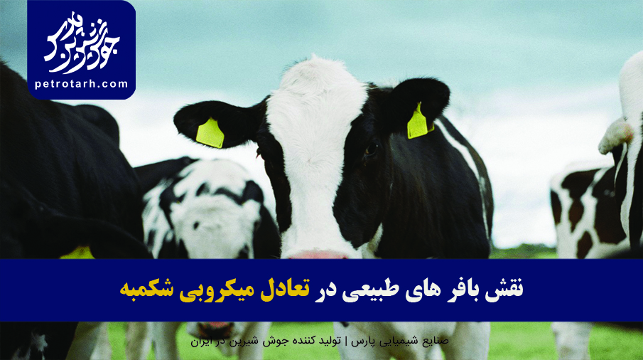 نقش بافر های طبیعی در تعادل میکروبی شکمبه گاوهای پرتولید